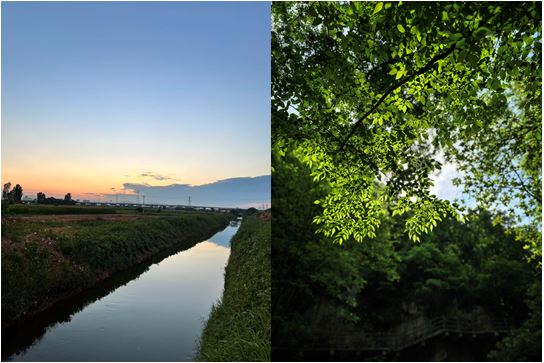 evolution平台