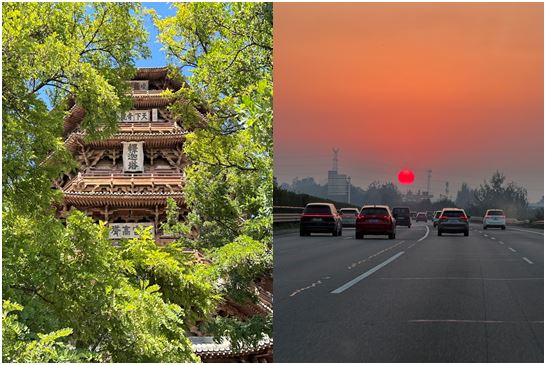 evolution平台