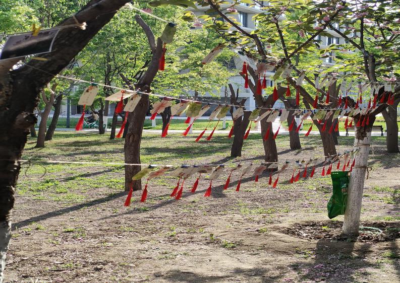 图示, 示意图 中度可信度描述已自动生成:ver1